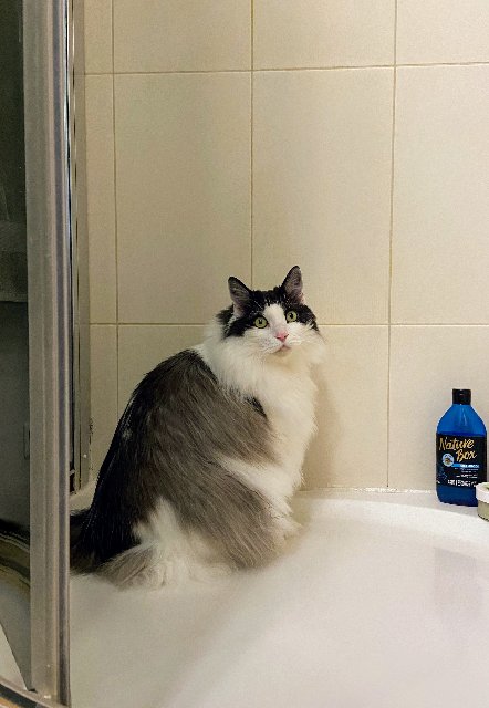 7-A4-D06-F5-BB5-C-4743-836-E-1-F2631-CEF