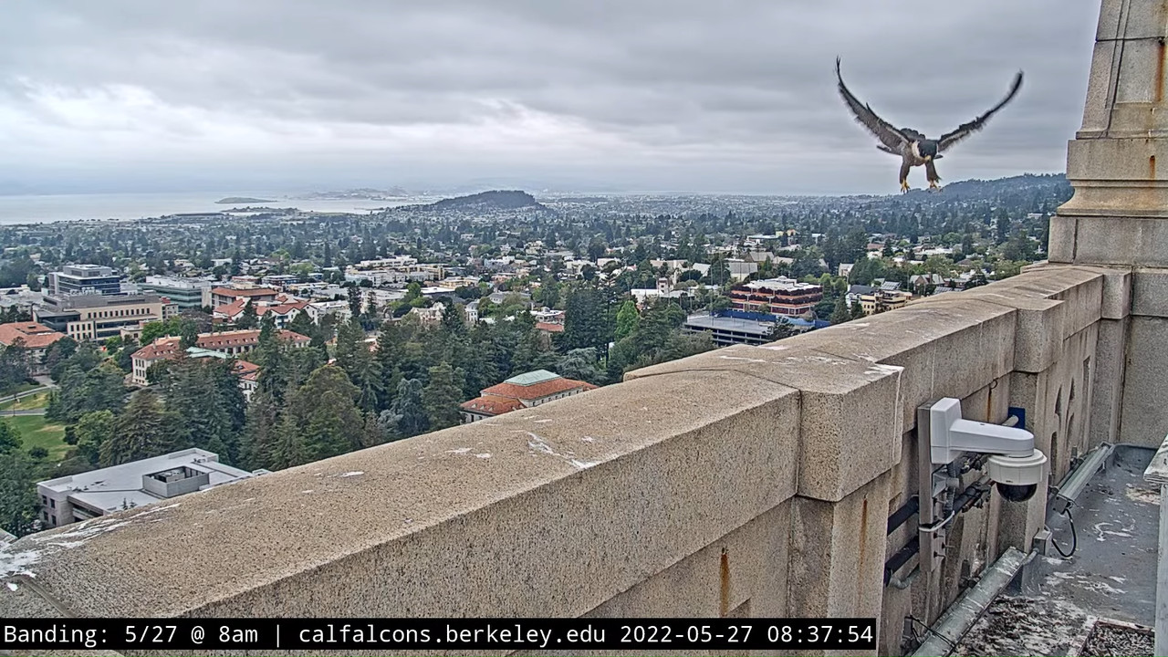 5-27-22 Banding (Raw West Footage) 28-4 screenshot