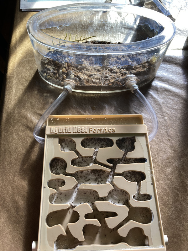 F521BA0E-2747-4FBF-8FBB-25F30C909DF3