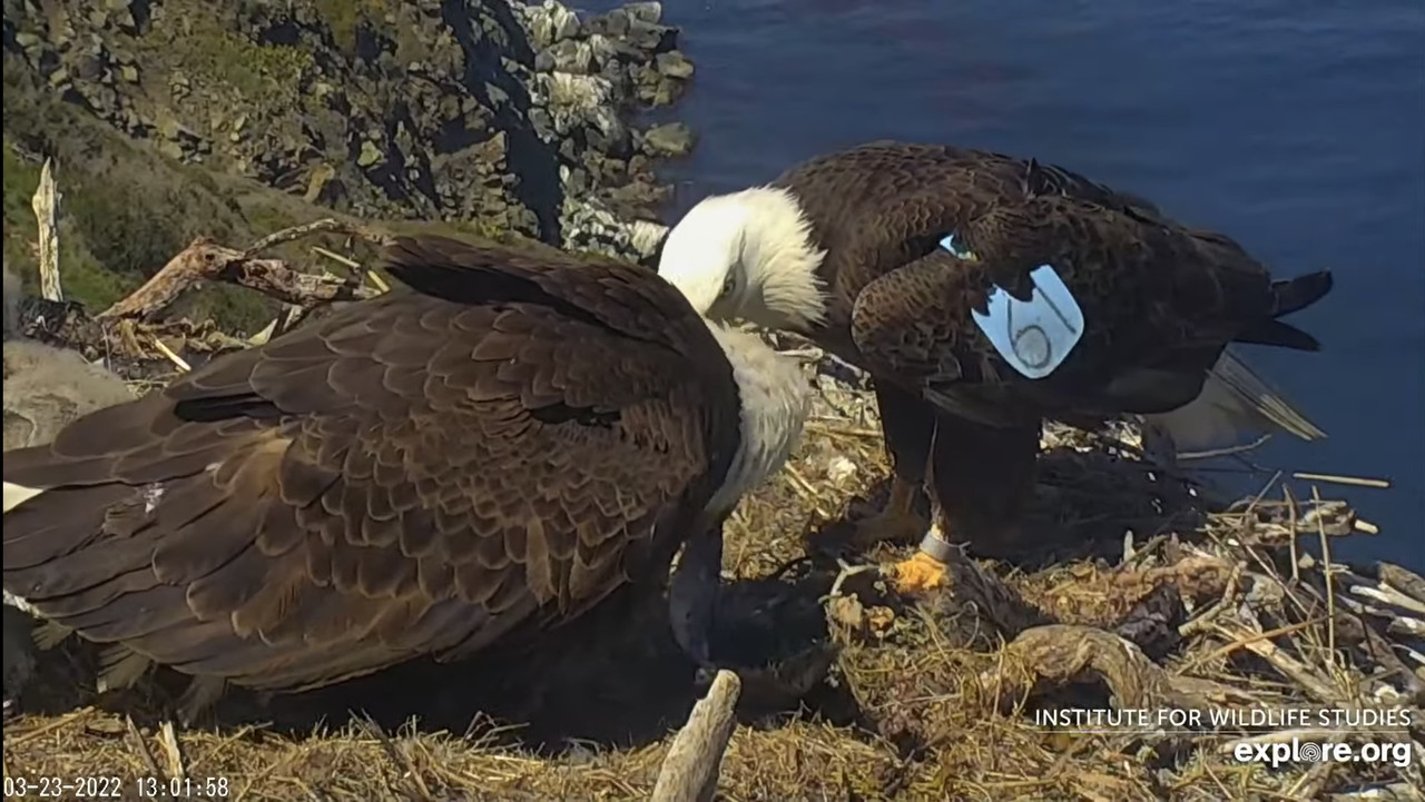 8CEA4D9E-8BD2-43AB-B613-3F2AF4EE92D5