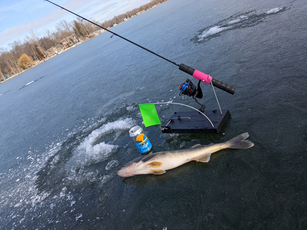 PXL_20230206_194847778