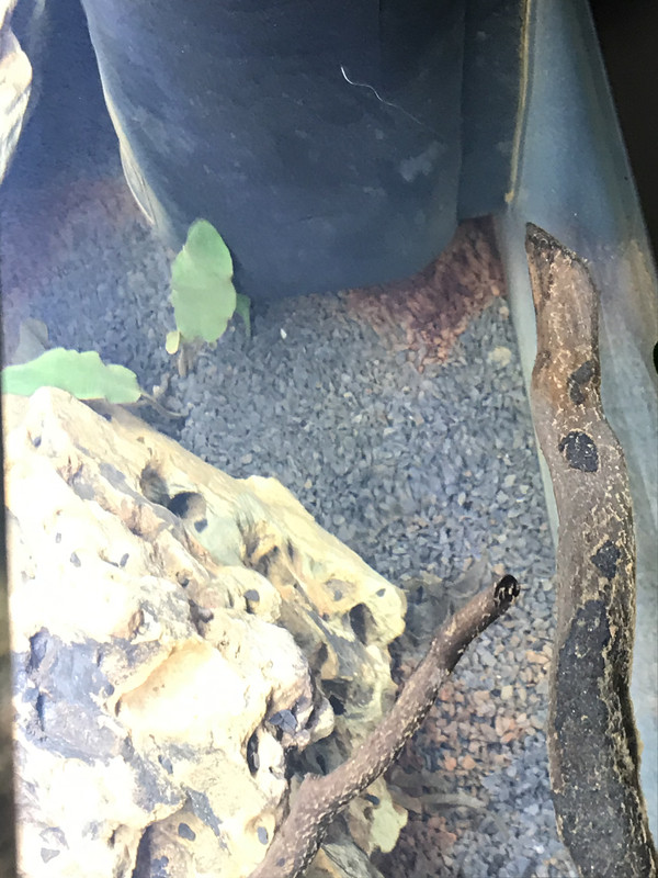 72917533-77CF-428E-BB4E-81C90BA6932F