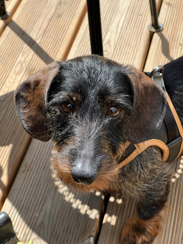 [Image: IMG-20230806-WA0005.jpg]