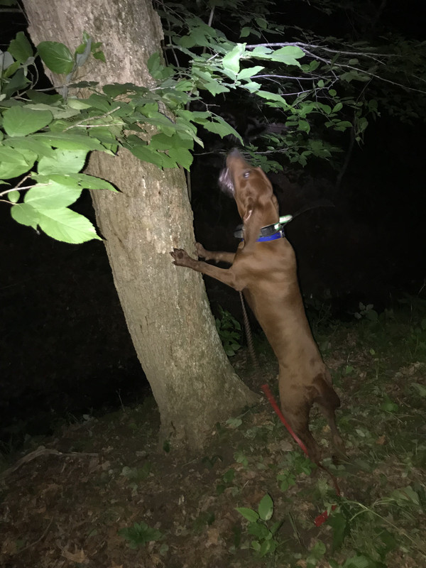 57798769-8FB2-4C7D-BF42-090FDF73D0A5