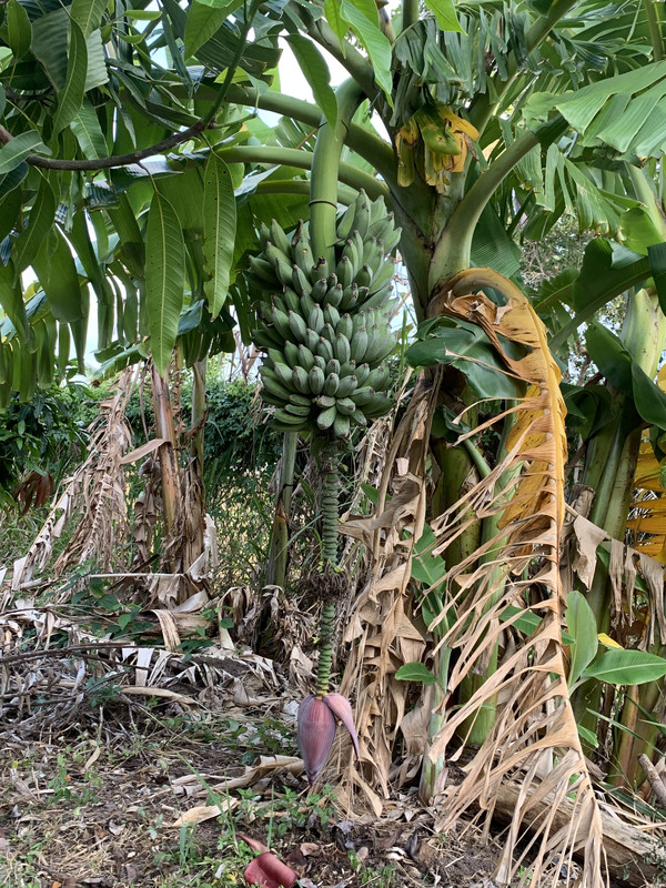 58EF9653-88B8-43FD-BF2F-6BF83EEE463F