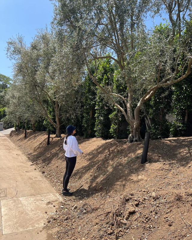 prayalundberg-1717248463-3380847614722745777-3244161