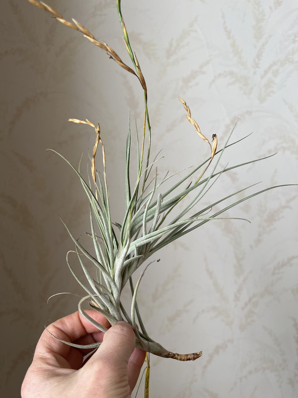 3C06ED94-3A32-4E6C-8EDF-1856EE056683