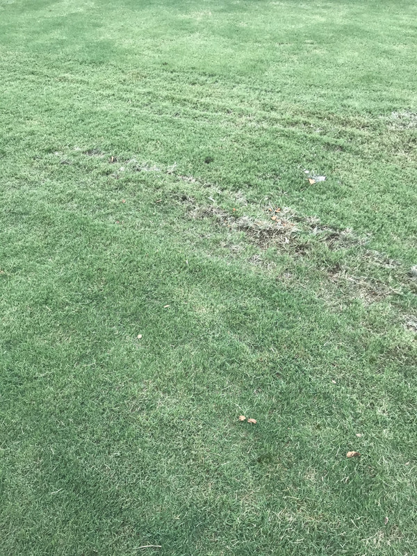 F861943C-6B9F-4021-A5EF-EA9D6D7622A9