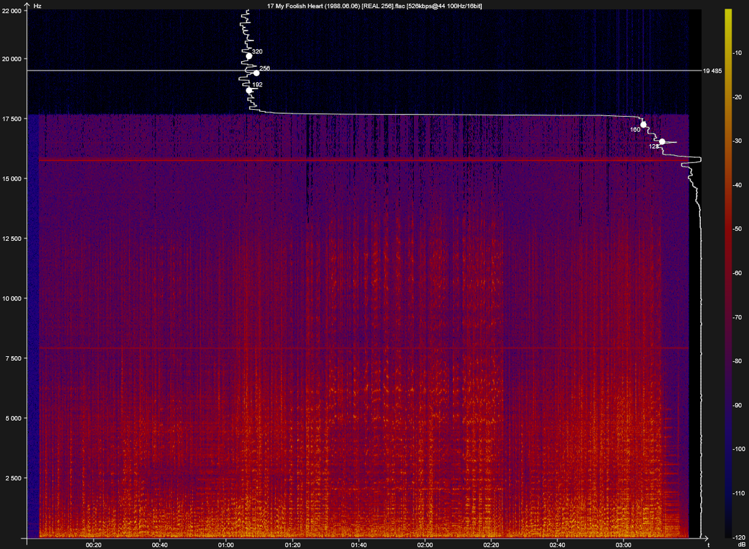 17 My Foolish Heart (1988.06.06) [REAL 256].flac