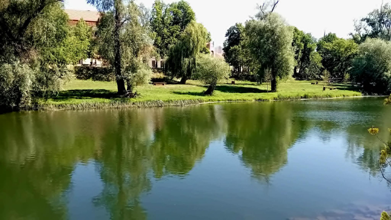 https://i.postimg.cc/sg4jDrQx/5fc268f8-ada9-4dba-a8f8-24b360ff34b4.jpg
