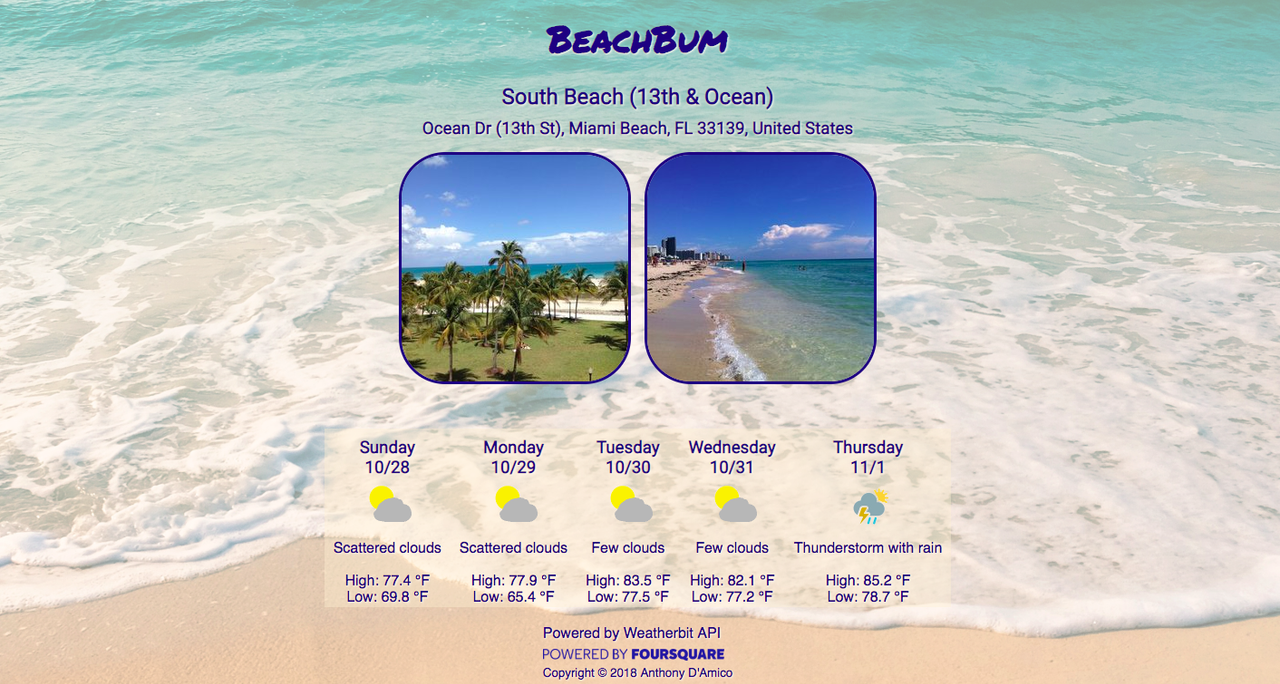 BeachBum Landing Page