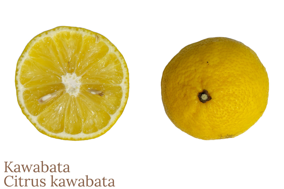 9B00C4B5-56B2-4DA8-BAED-C9E48D371B83