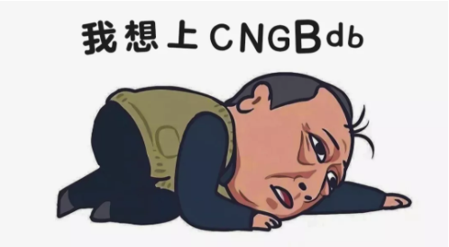 苏大强告诉你不上CNGBdb 后果很严重_8