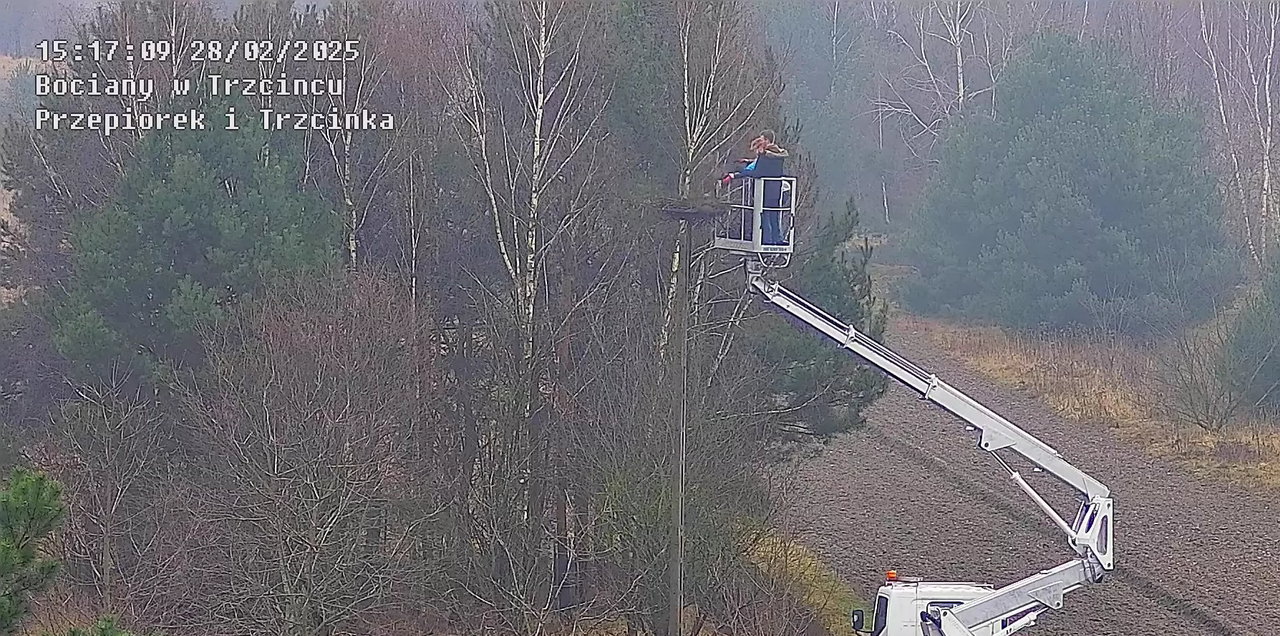 28022025tworzeniegniazda2