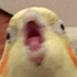 https://i.postimg.cc/sg5JhMcG/21871.png