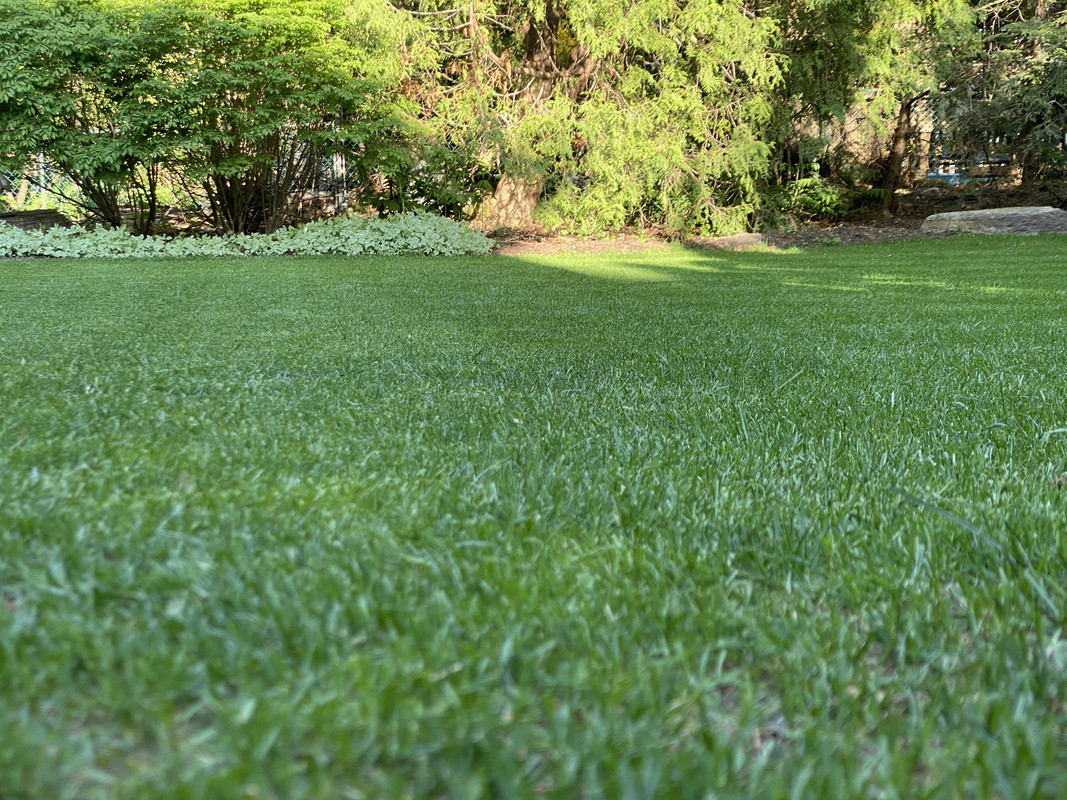 7BD62207-566E-4B97-9B58-57CE2DEF4842