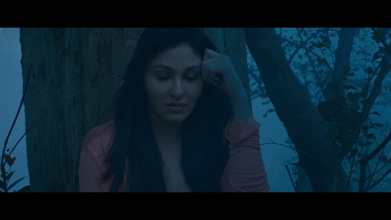 vlcsnap 2026 02 27 19h25m10s268