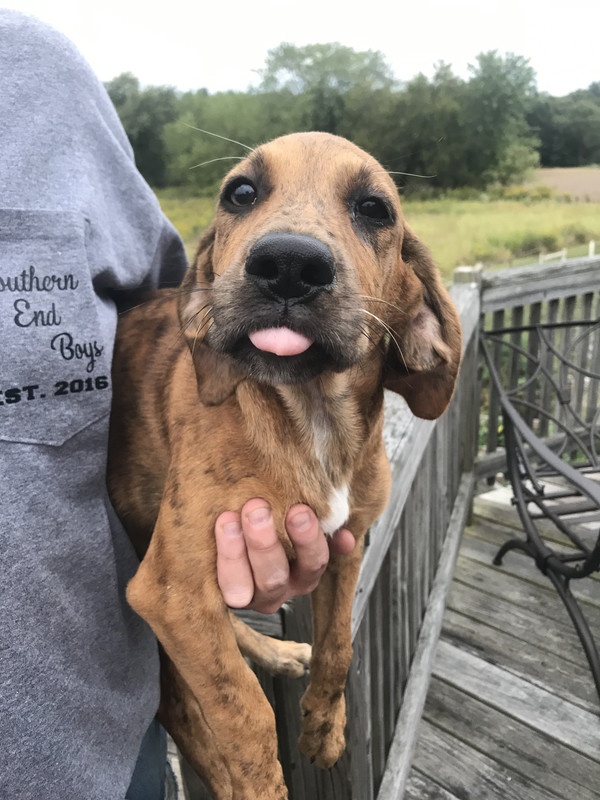 A089CBFA-6AA6-403C-9289-AEDEA7F9B19D