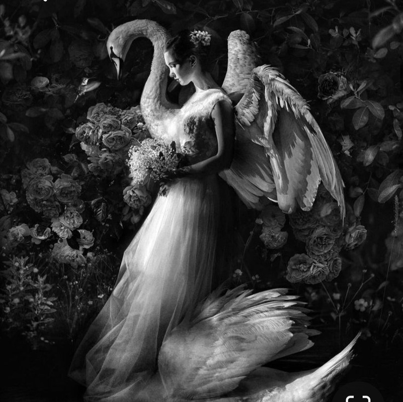 Screenshot_20230324_010604_Pinterest