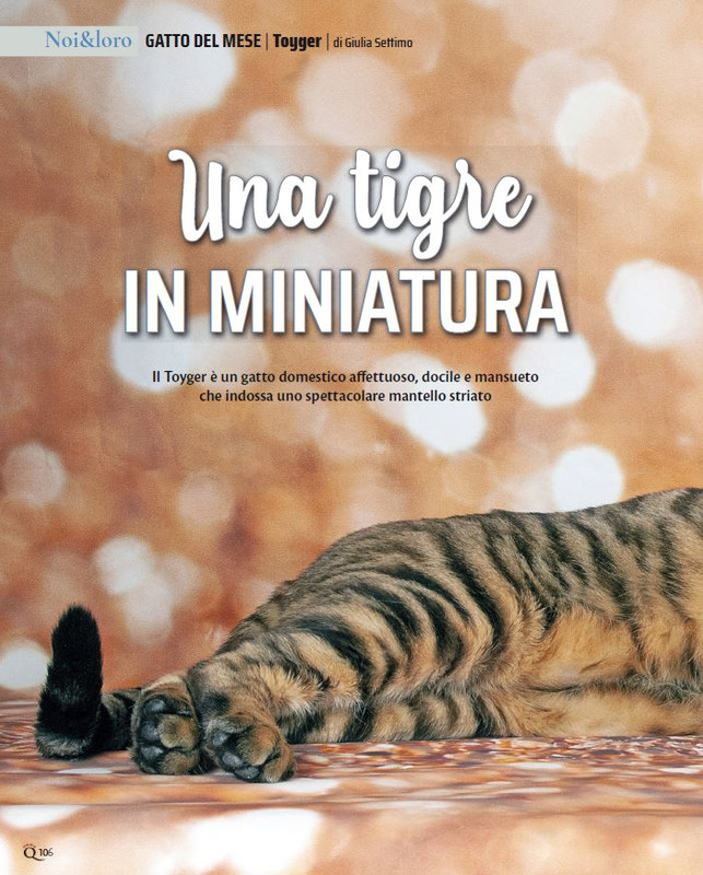 QuattroZampe Feb 2023 (1)