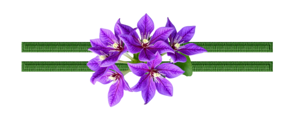 7101512-A7w-GHj26.png