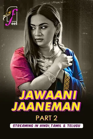 Jawaani Jaaneman (2025) Feel S01 Part 2 Web Series