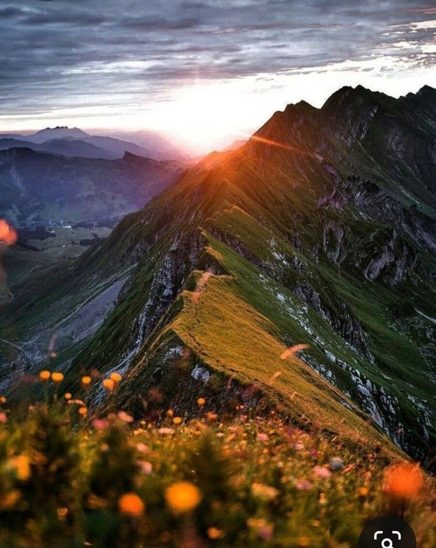 Screenshot_20231107_210107_Pinterest