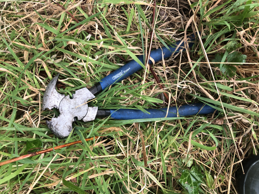 CB68BDA2-ABFB-4C76-98F0-5FA8121F5C2F