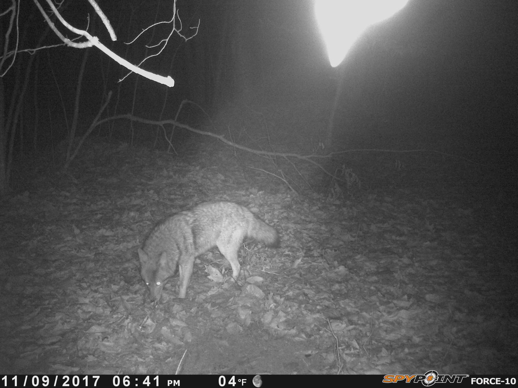 A8EA8C82-40D7-4928-9204-933F08C91D43