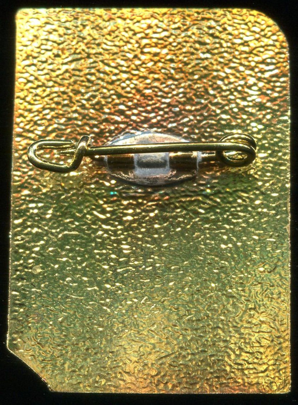 2015-L чтения КЭЦ. Спортзнак, латунь, 25х35, бул