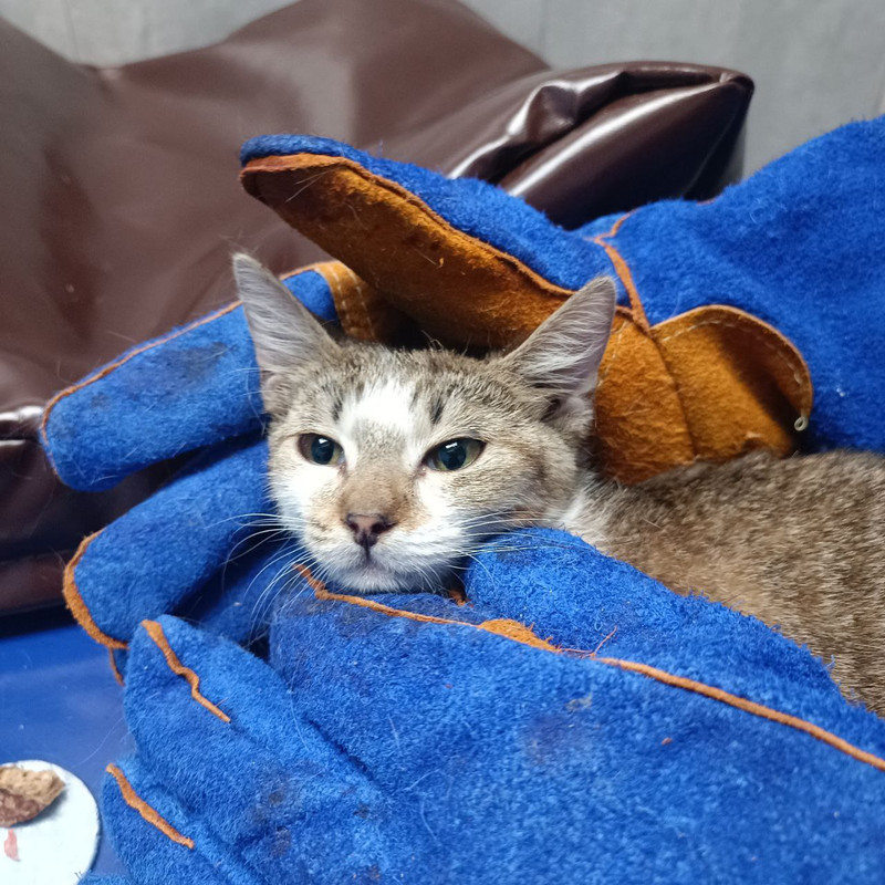 photo_2024-06-19_23-33-36