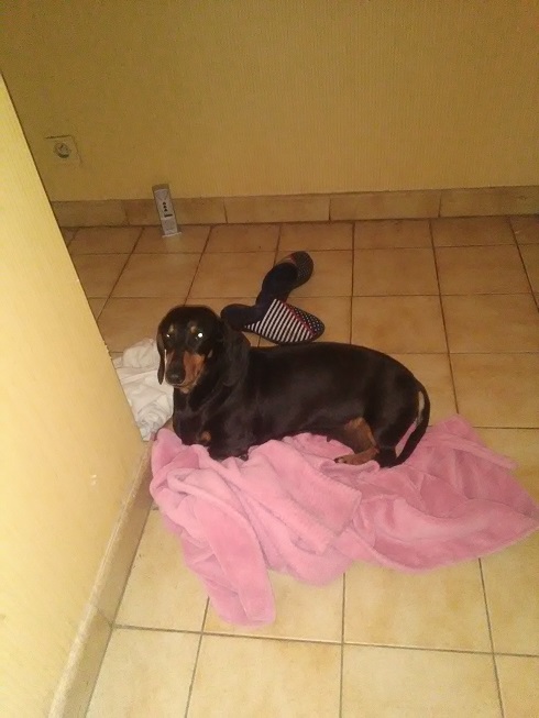 [Image: Vetements.jpg]