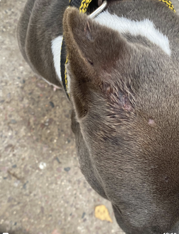 Снимок экрана 2024-10-28 в 19.52.30