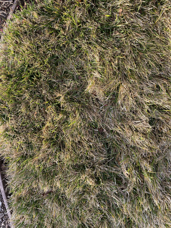 92F16C1D-EFAD-44F6-B623-78468F1A725C