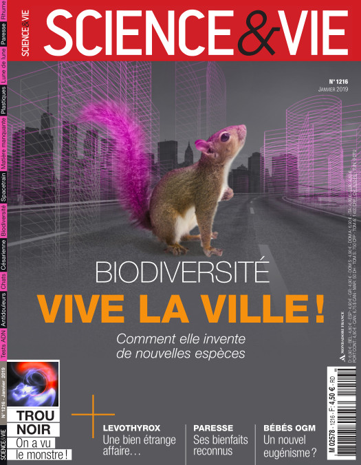 Le prophète mâcha une datte en frotta l’intérieur de la bouche du bébé. 2020-03-08-184129
