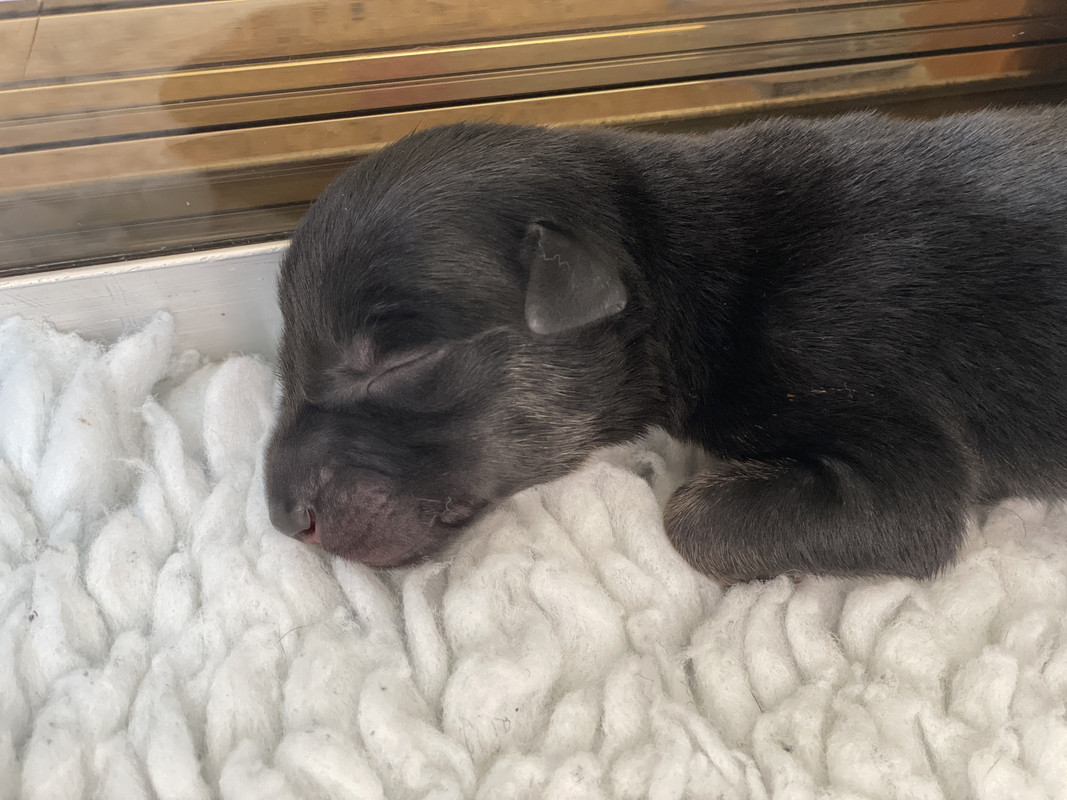 3106B5D2-7DE3-4C3A-871C-D55E7C5DBE04