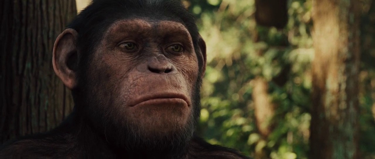 Rise of the Planet of the Apes (2011) Free Movie Download Rise of the Planet of the Apes (2011) Free Movie Download