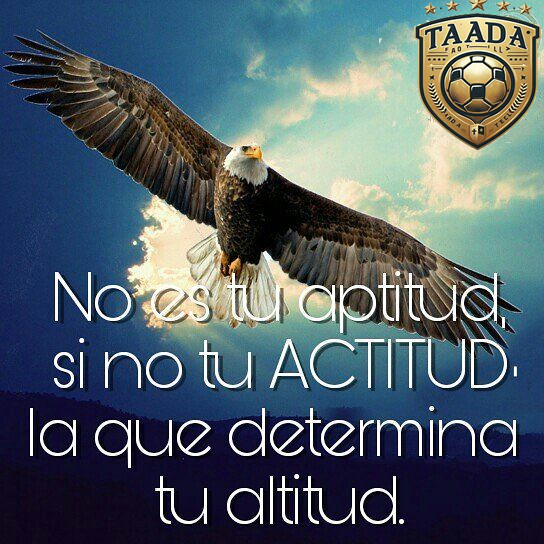 para_PDDde_fede_png_4