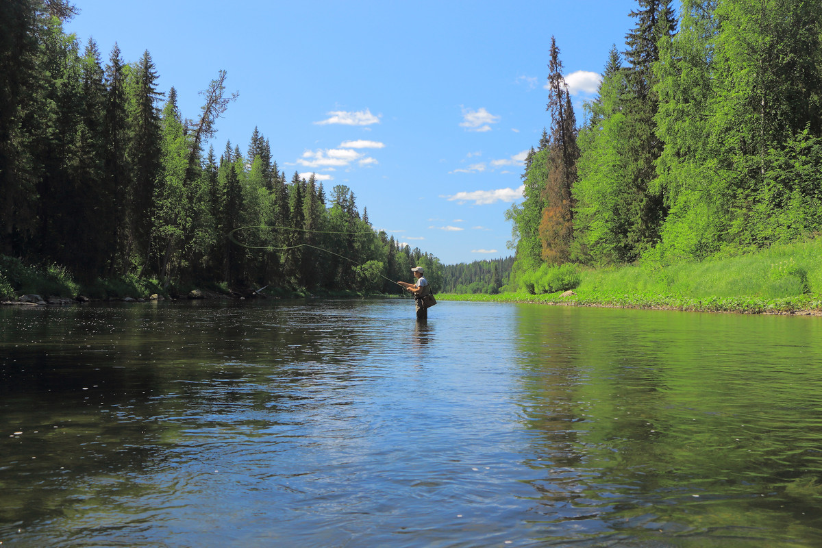 IMG_6152 (9000 x 6000)