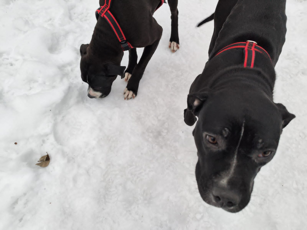 2E0DF55C-540C-457A-AF9D-CCB042E72C35