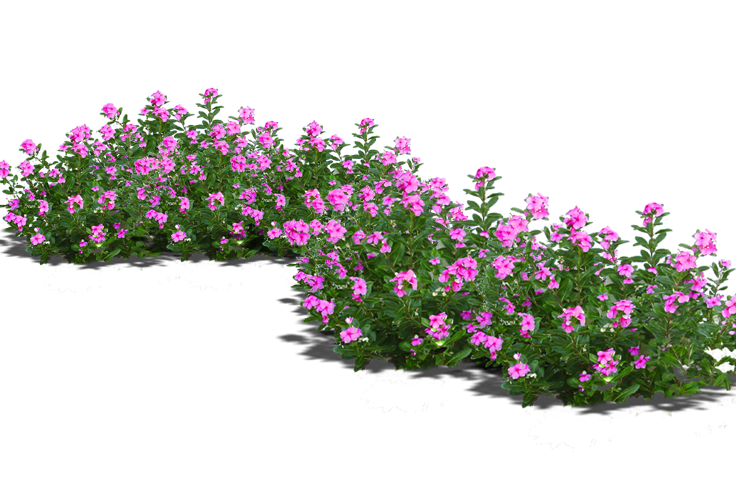 pngegg