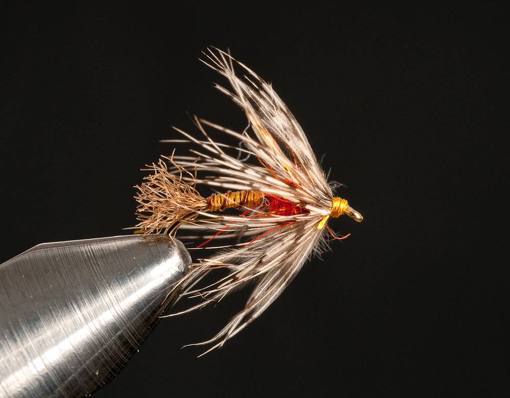 94B390BA-A3F9-458E-98C4-95B40A9E700B