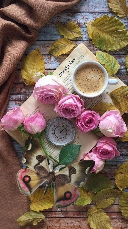 55b8cfb13316ac71e0681aabe126f0c1