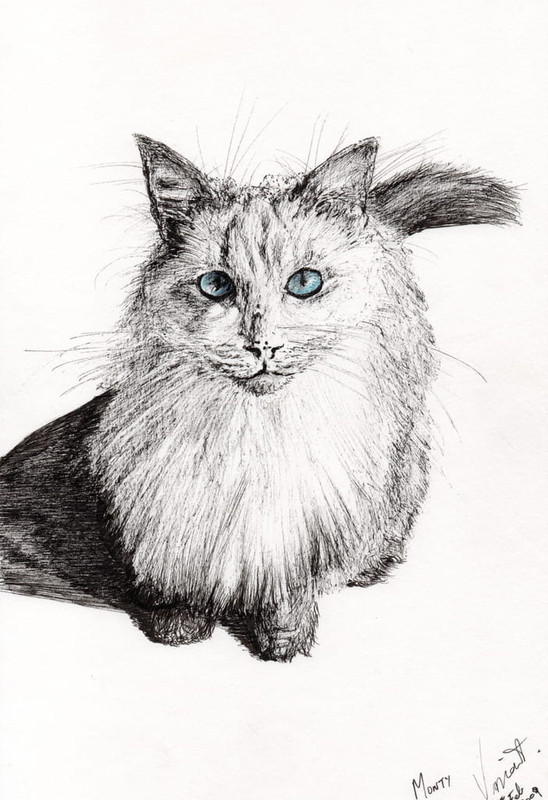 Vincent Alexander Booth - Monty 2009 (ink on paper) - (MeisterDrucke-371692)