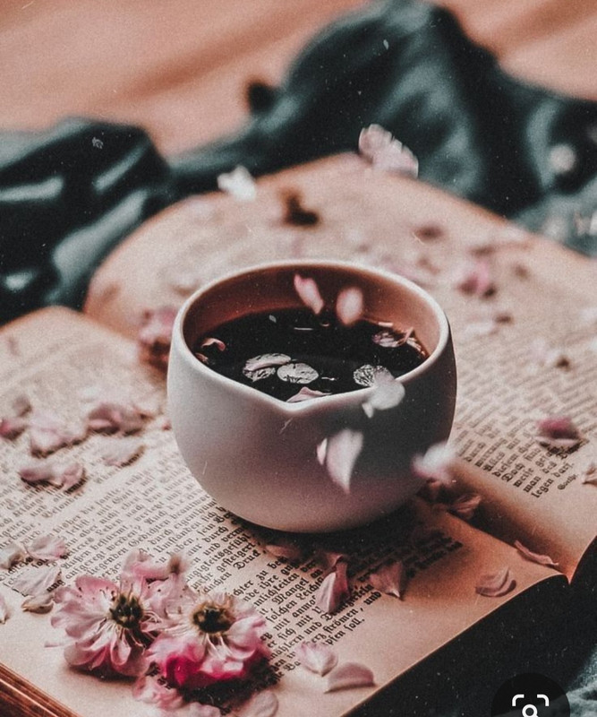 Screenshot_20230830_230026_Pinterest