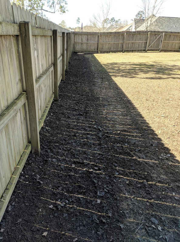 Landscaping along fence ideas - The Lawn Forum