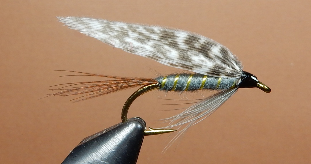 Stone-Fly-Wetzel-1080.jpg
