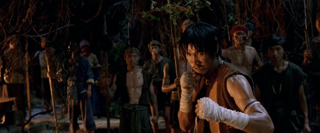 Fearless 2006 DC (1080p x265 10bit Tigole).mkv_s