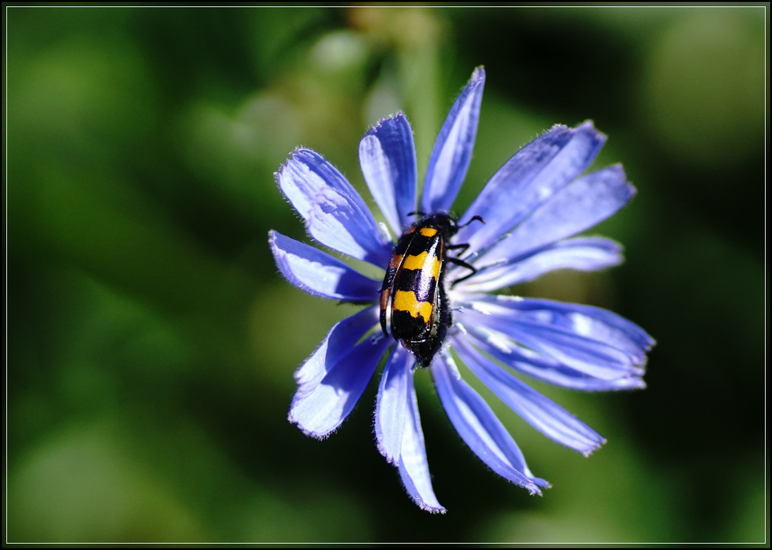 DSC02841-b.jpg