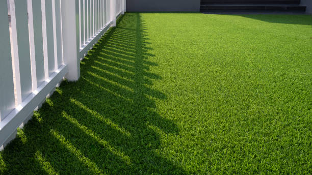 backyard turf installation cost
